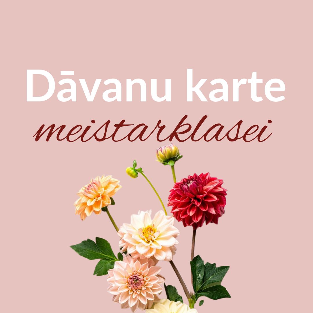 Dāvanu karte meistarklasei
